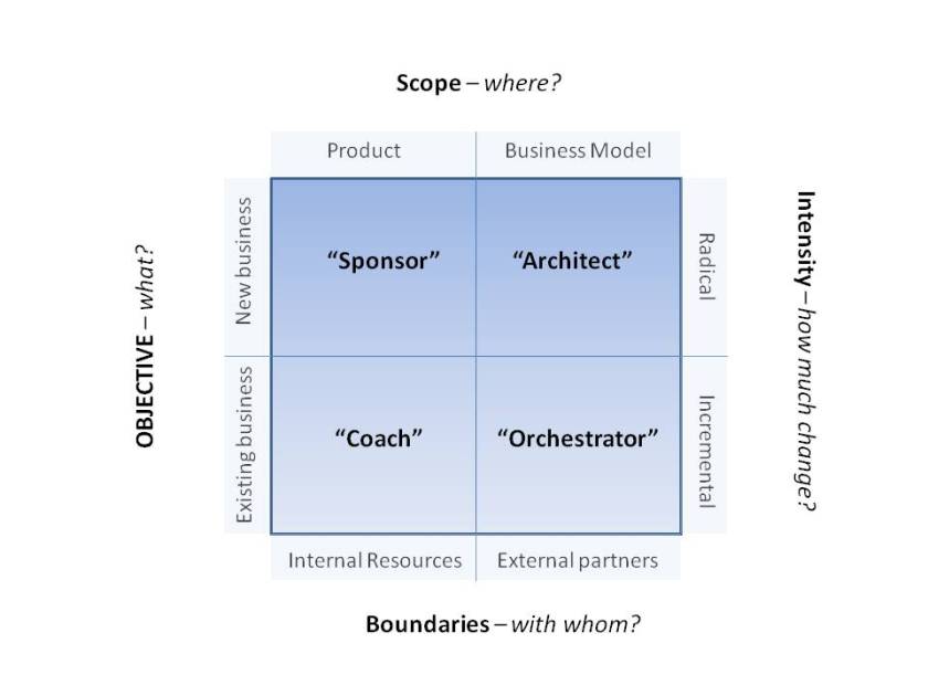 Innovation Strategy Roles Matrix (roles)